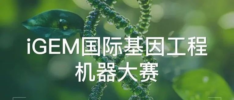 2025年iGEM国际基因工程大赛组队招募!TD逐录要你冲金奖!附iGEM备赛资料免费领取!