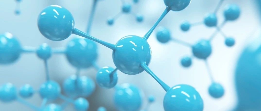 2026年USABO/BBO报名指南:生物竞赛时间+报名流程+考试难度全汇总!附真题备考资料免费领取!