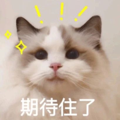 USACO竞赛2025全面解读!赛程/考点/备考规划!附直播免费参与方式!