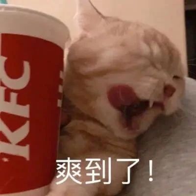 AP宏微观经济及物理1&2备考资料应用指南直播:资料应用指南+全年学习规划!附直播免费参与方式!