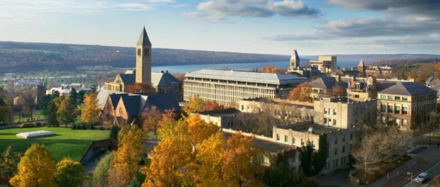 美国本科申请国际生语言要求,你满足了吗?附美本申请国际生语言成绩要求汇总免费领取方式!