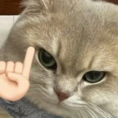 2025年机考SAT数学考前救命!机考SAT数学高频80题重磅来袭!滑至文末附免费领取方式!