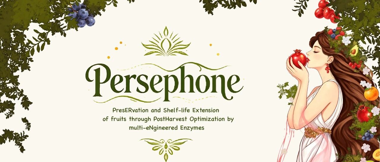 Zhulu-Union iGEM 2026课题 Persephone:用多工程酶延缓水果采后损耗/附逐录福利免费领取方式